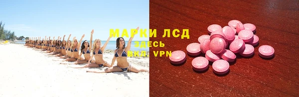 spice Новодвинск