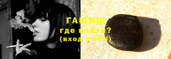 spice Новодвинск