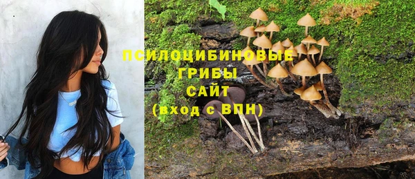 spice Новодвинск