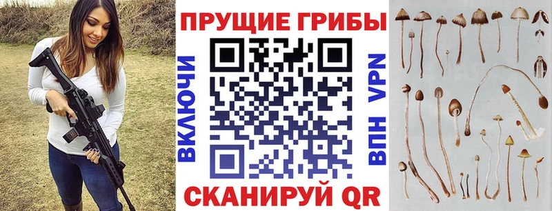 Псилоцибиновые грибы Psilocybine cubensis  Юрюзань 